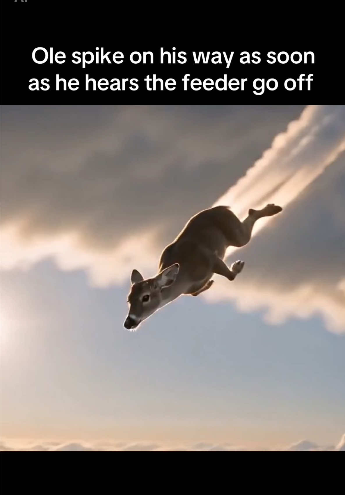 @TPHH