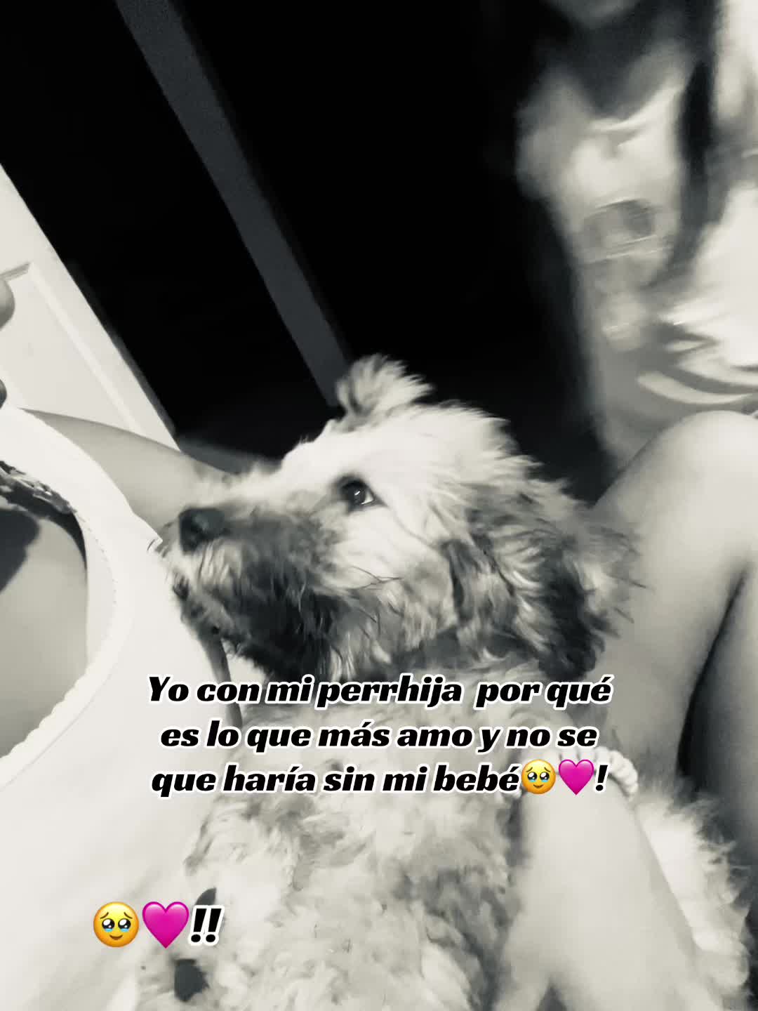 @🩵✨JAELY✨🩵