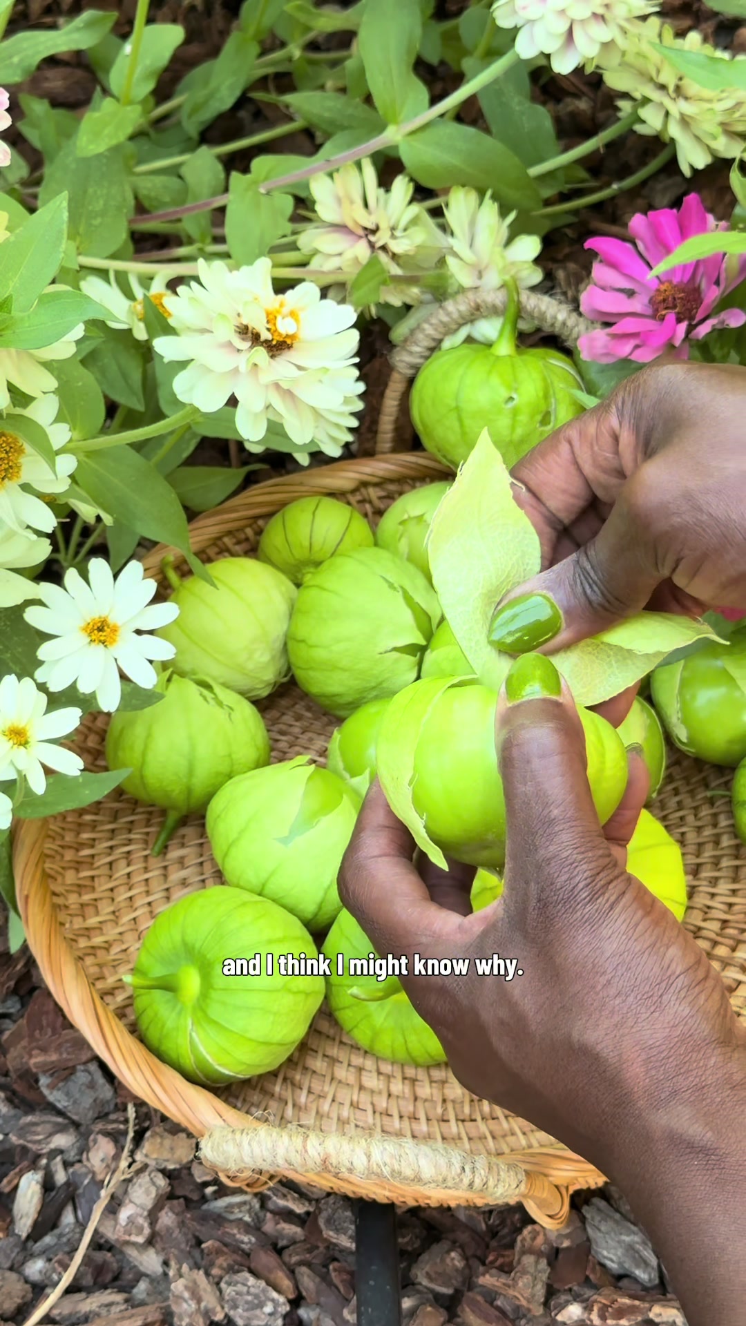 @curlycultivators
