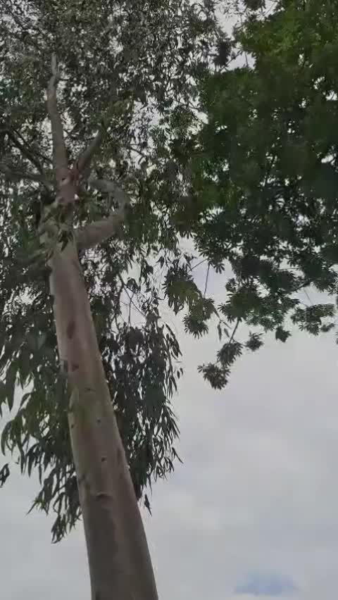 @ㅉㅏㄴ더너ㄲ마러 이사사