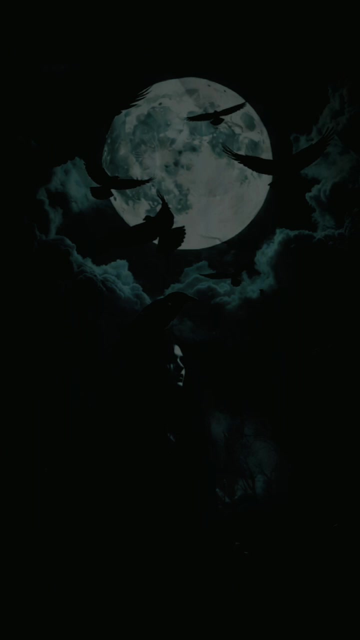 @🌚