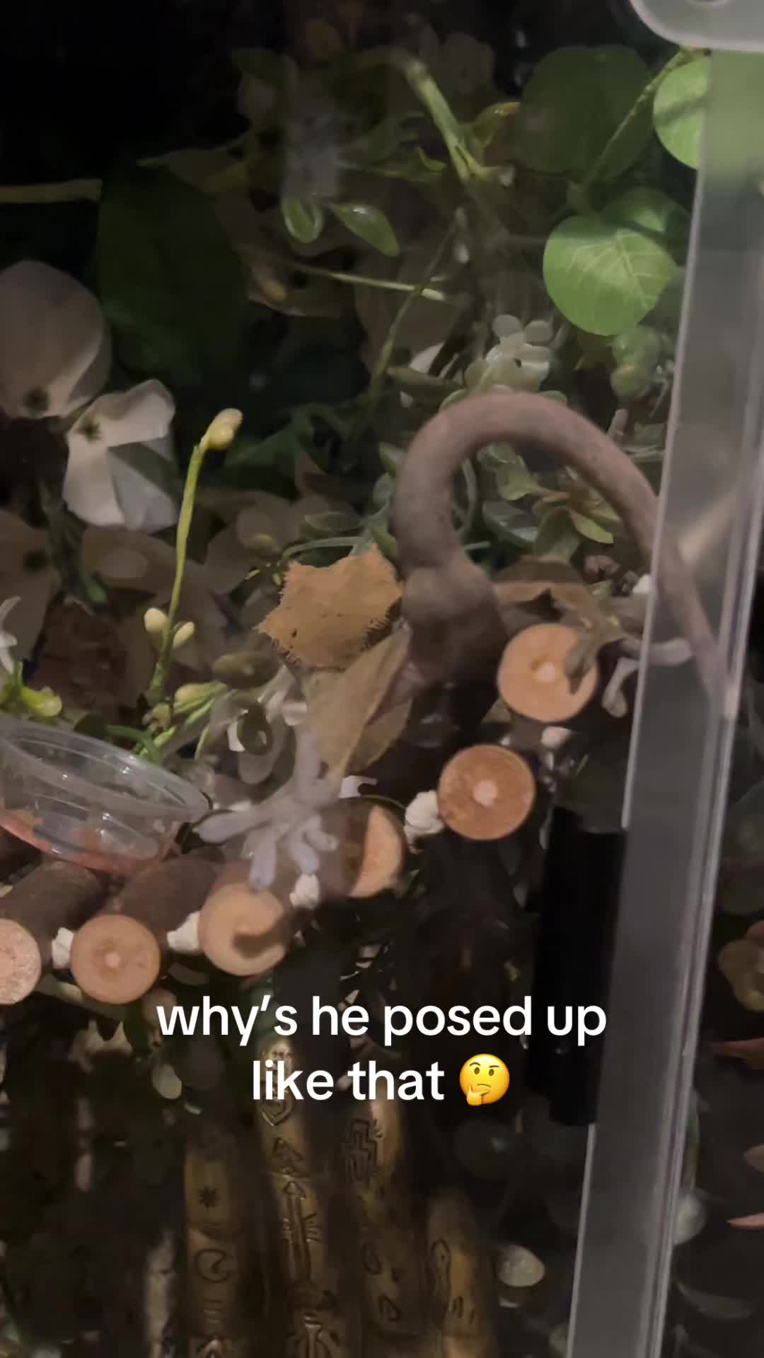 @sophie