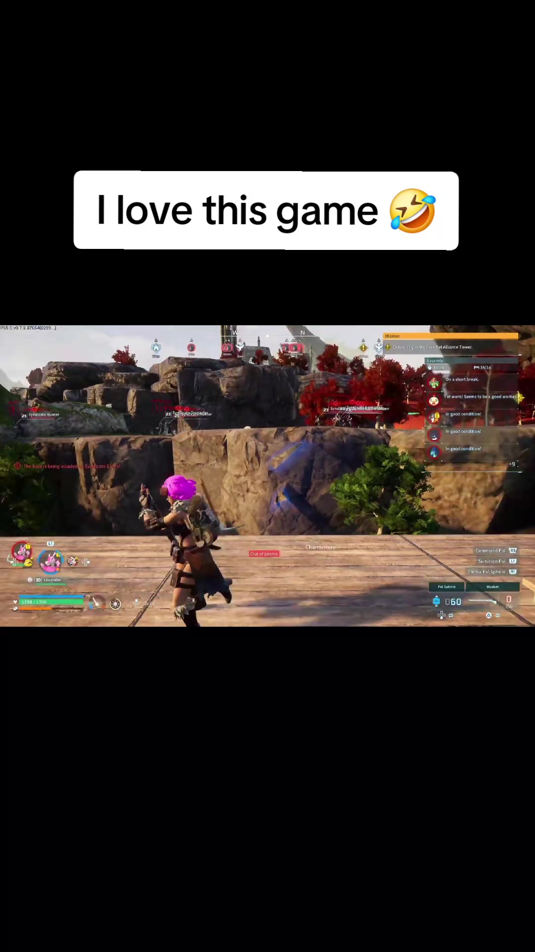 @Charmzx