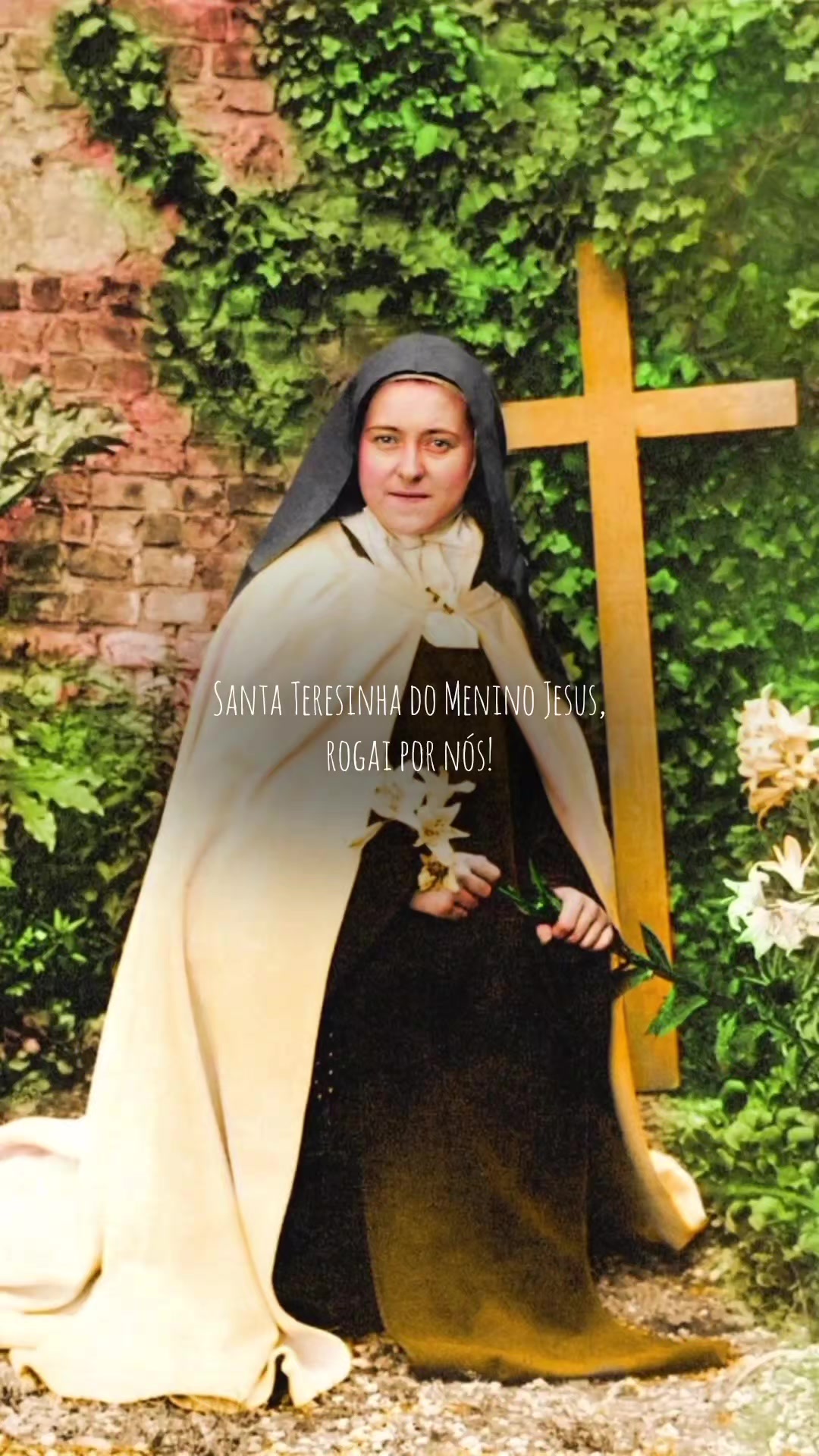 @Camilla Ribeiro 🇻🇦