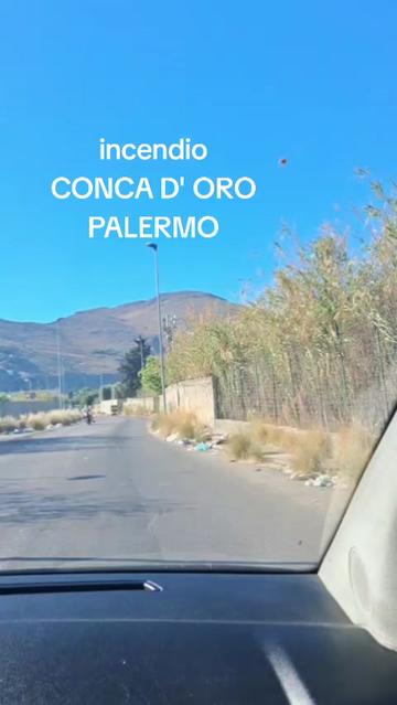 @Viviana