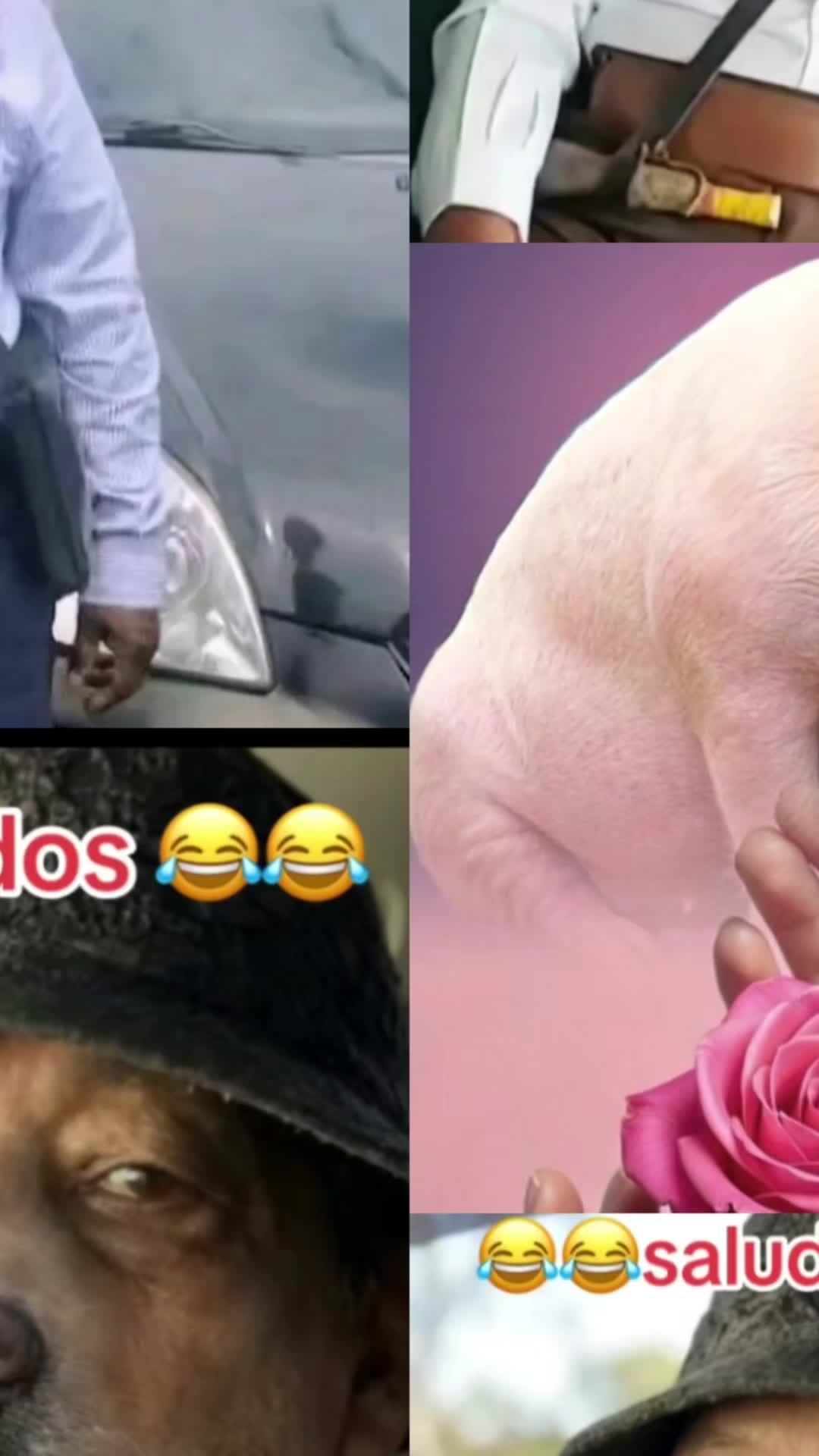 @𝐶𝐻𝐼𝑀𝐴𝐷𝑂𝑅