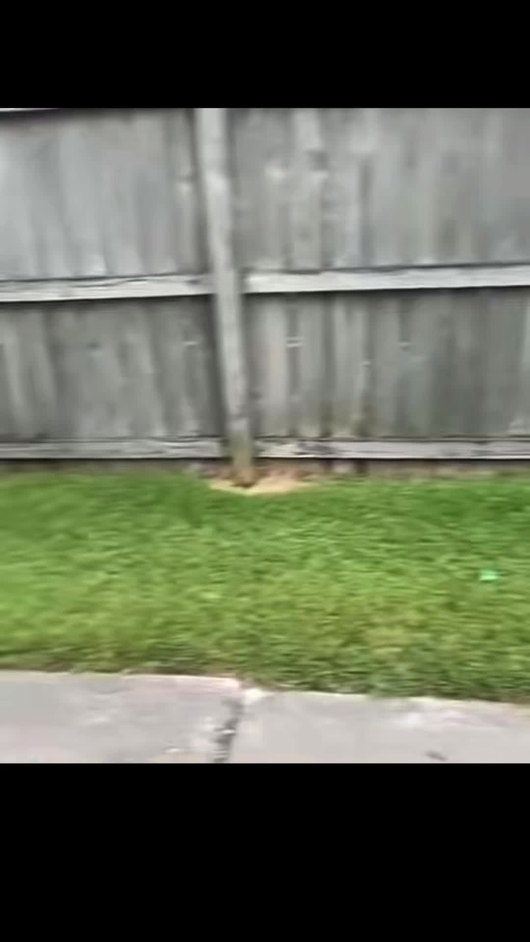 @girlhetoofunny0