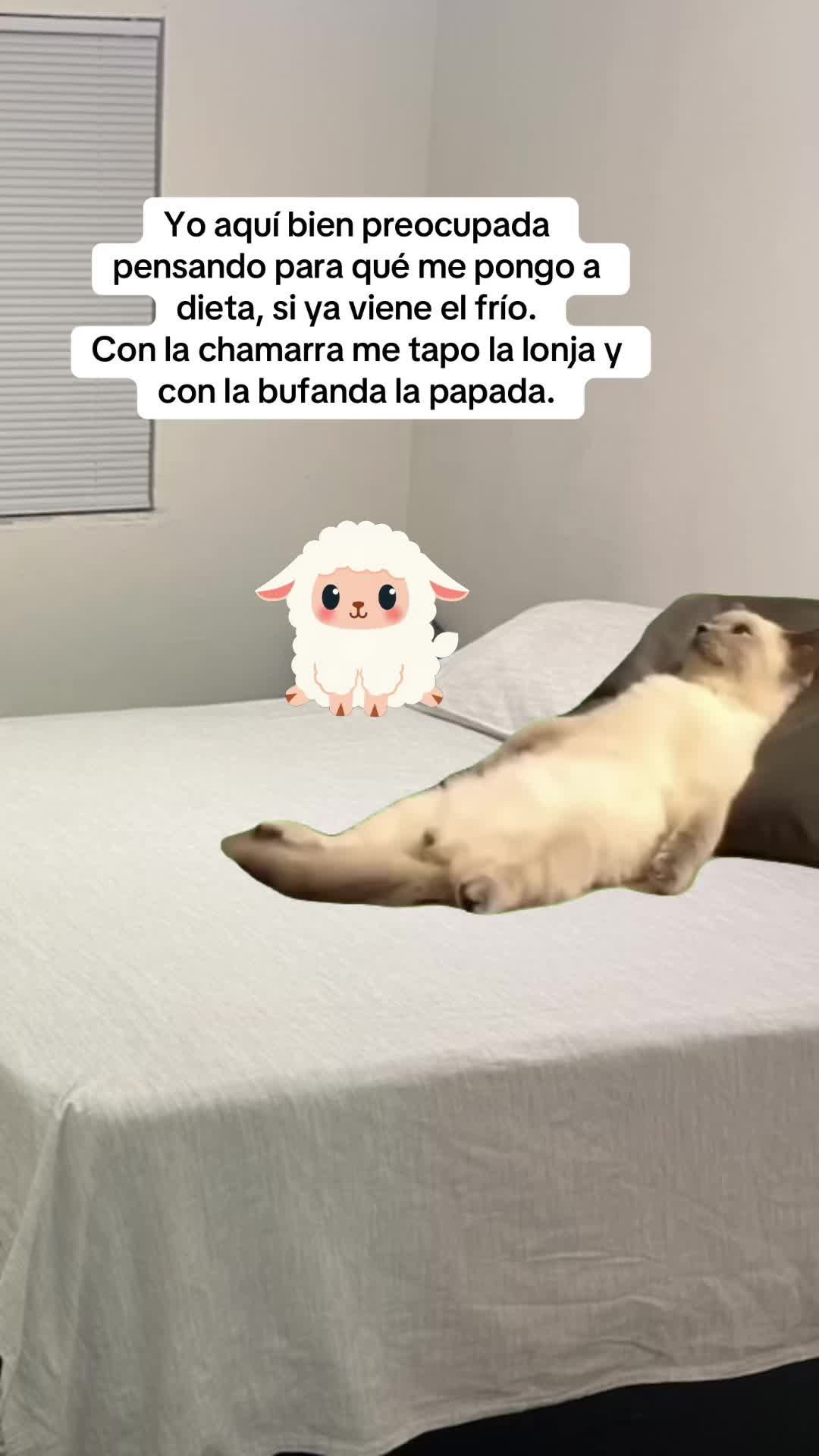 @𝓜𝓪𝓻𝓰𝓪𝓻𝓪.𝓞𝓯𝓲𝓬𝓲𝓪𝓵✨