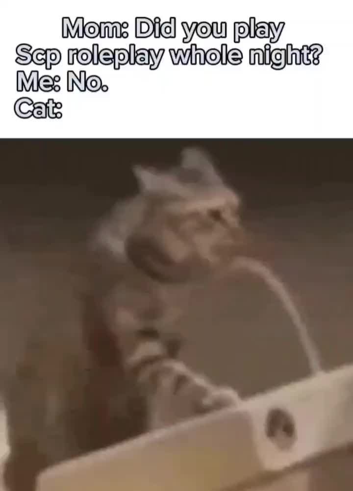 @_nekodem