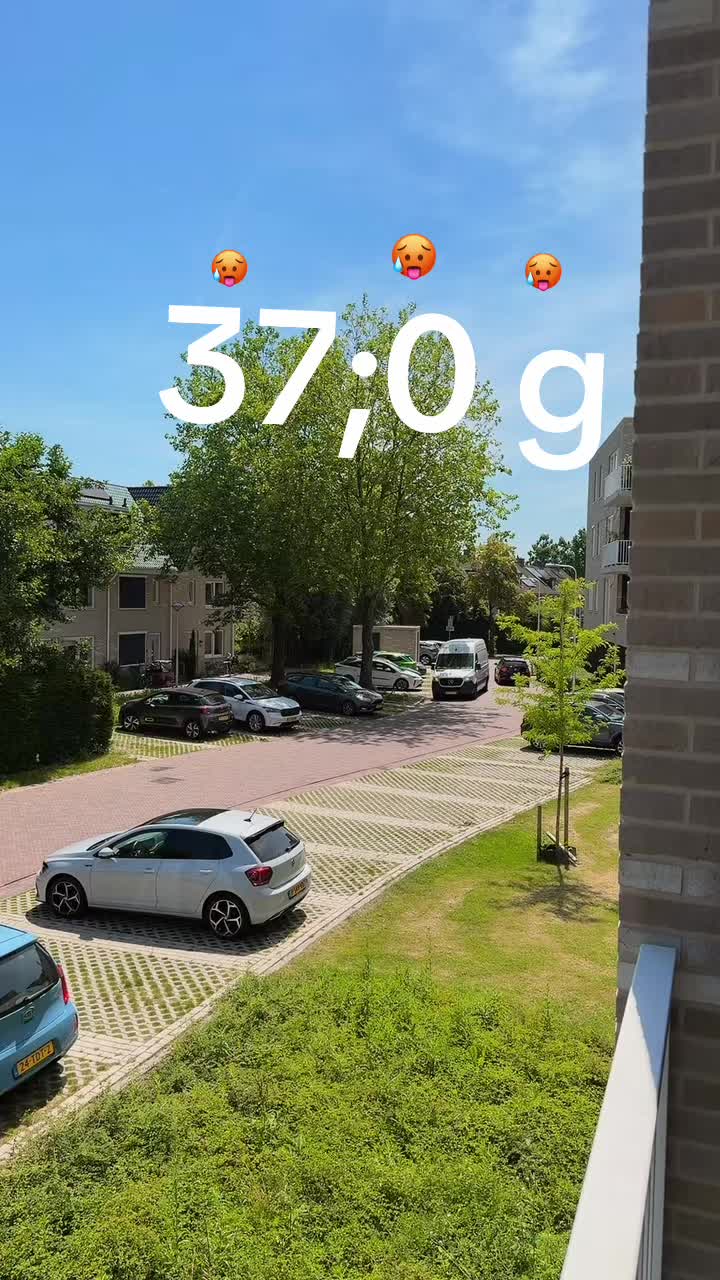 @+31🇳🇱 ⵣ