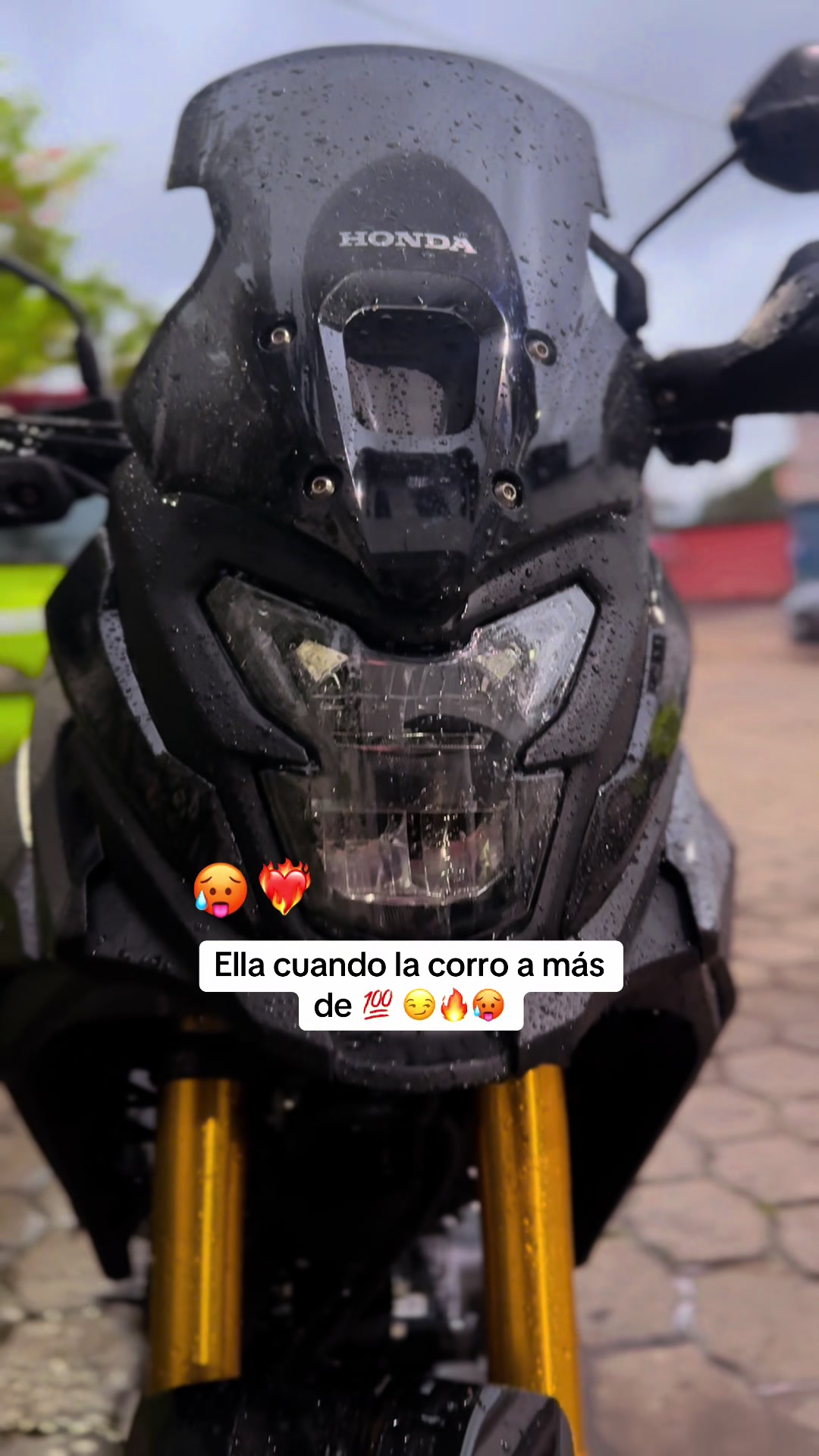 @Leonardo_11_🐢
