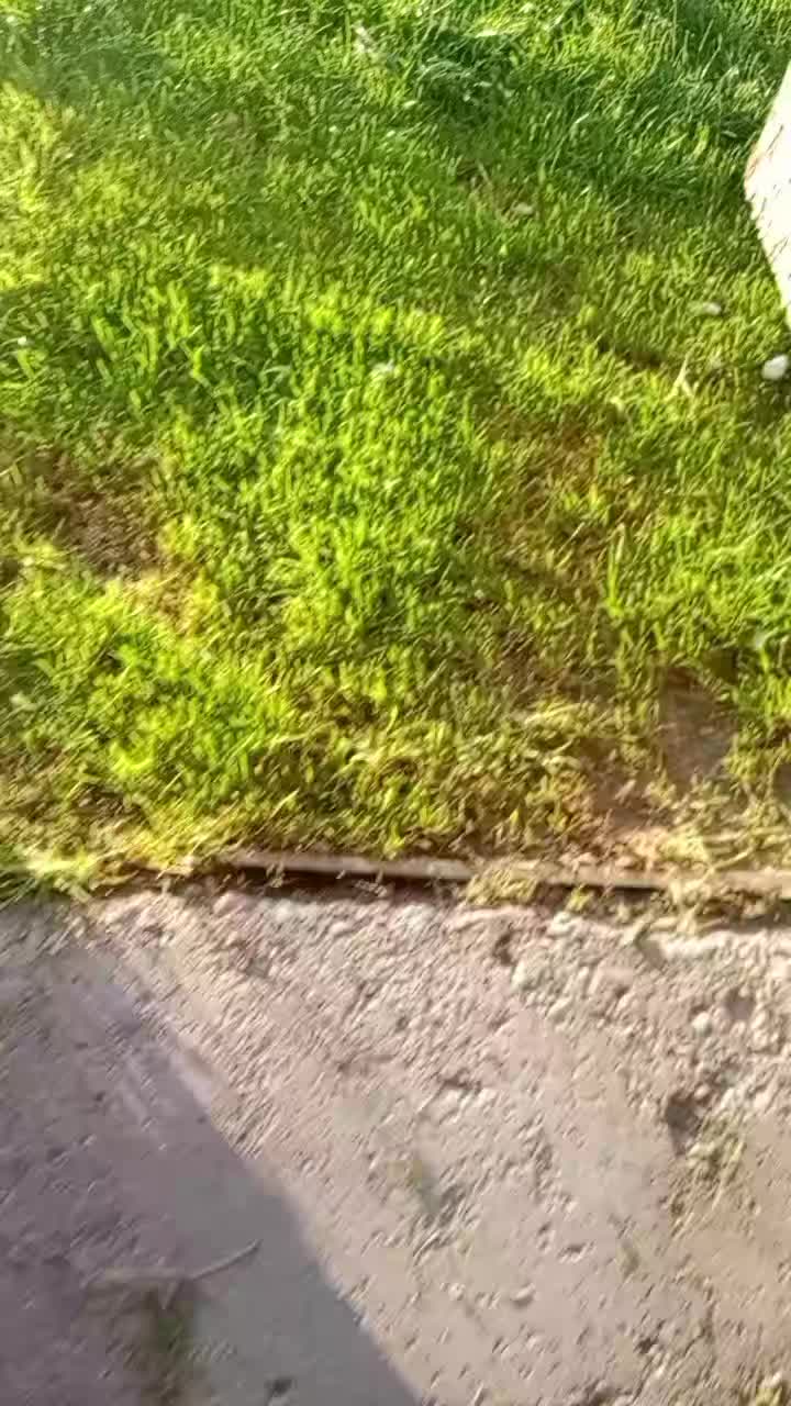 @ʏᴏᴜɴɢʙᴇɴɪᴏ