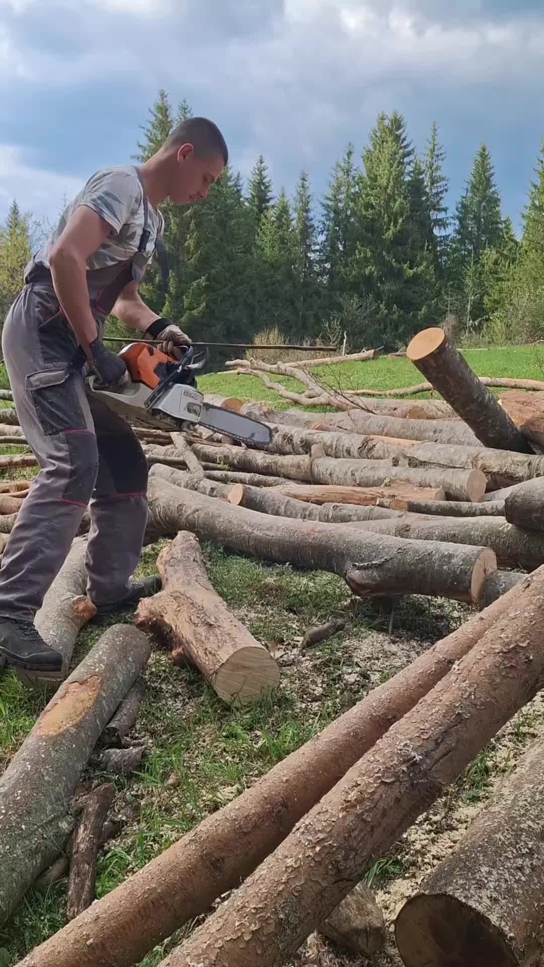 @🌲VRANIĆ🌲
