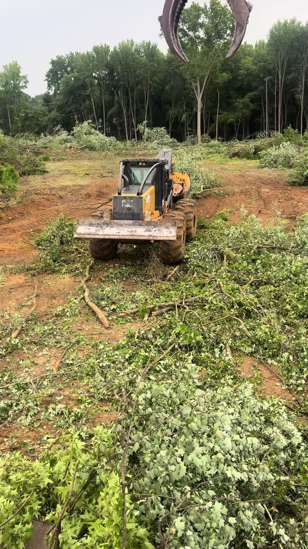 @Ron Bull The tree surgeon