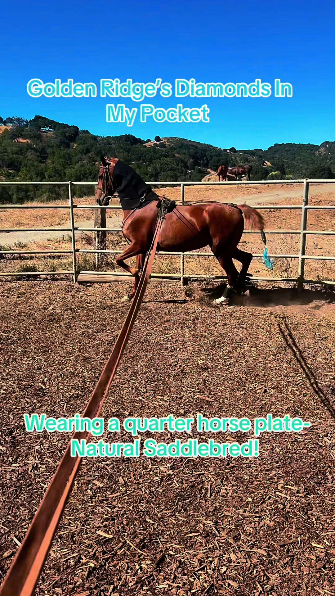 @BoeRanch14
