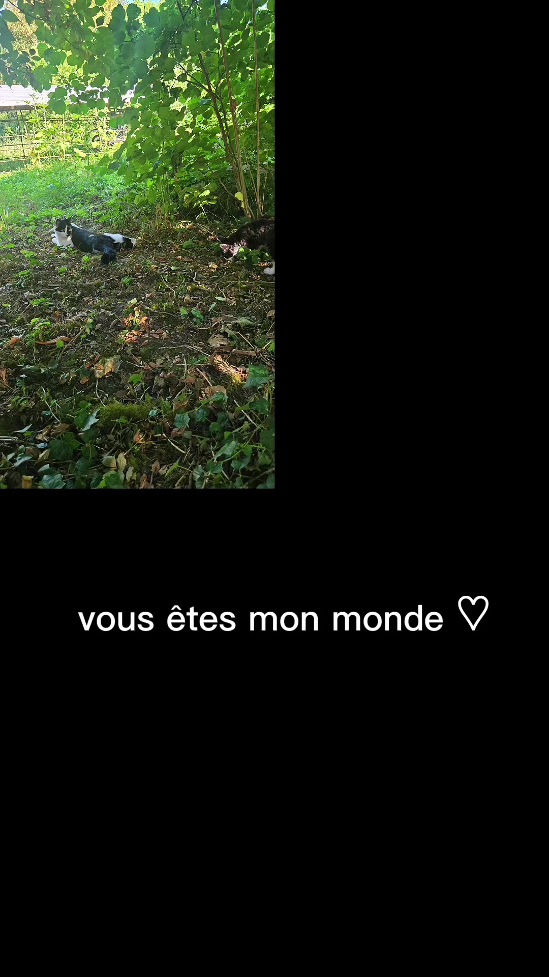 @Mes Doudous