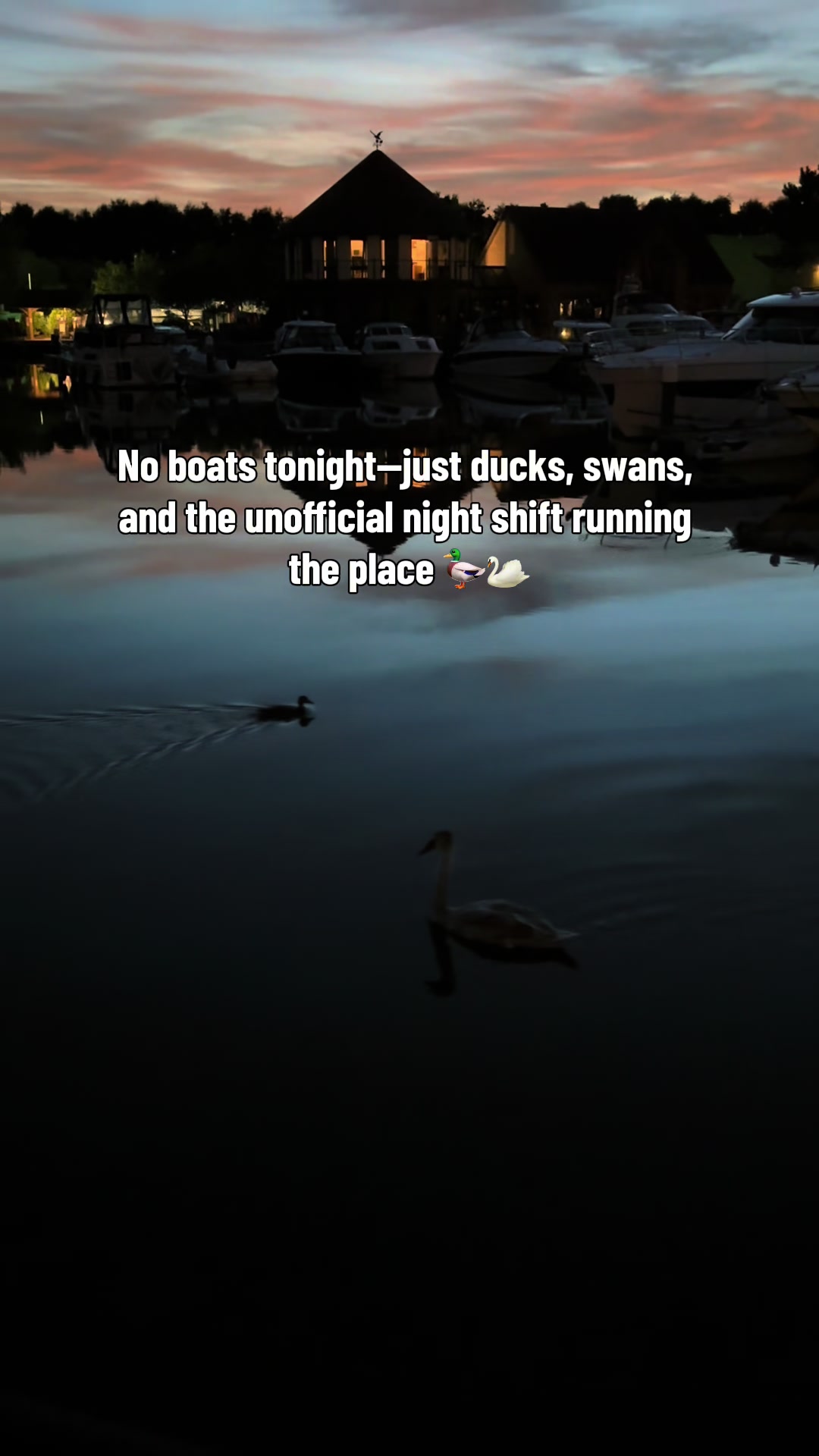 @Harbour Lights Lincoln