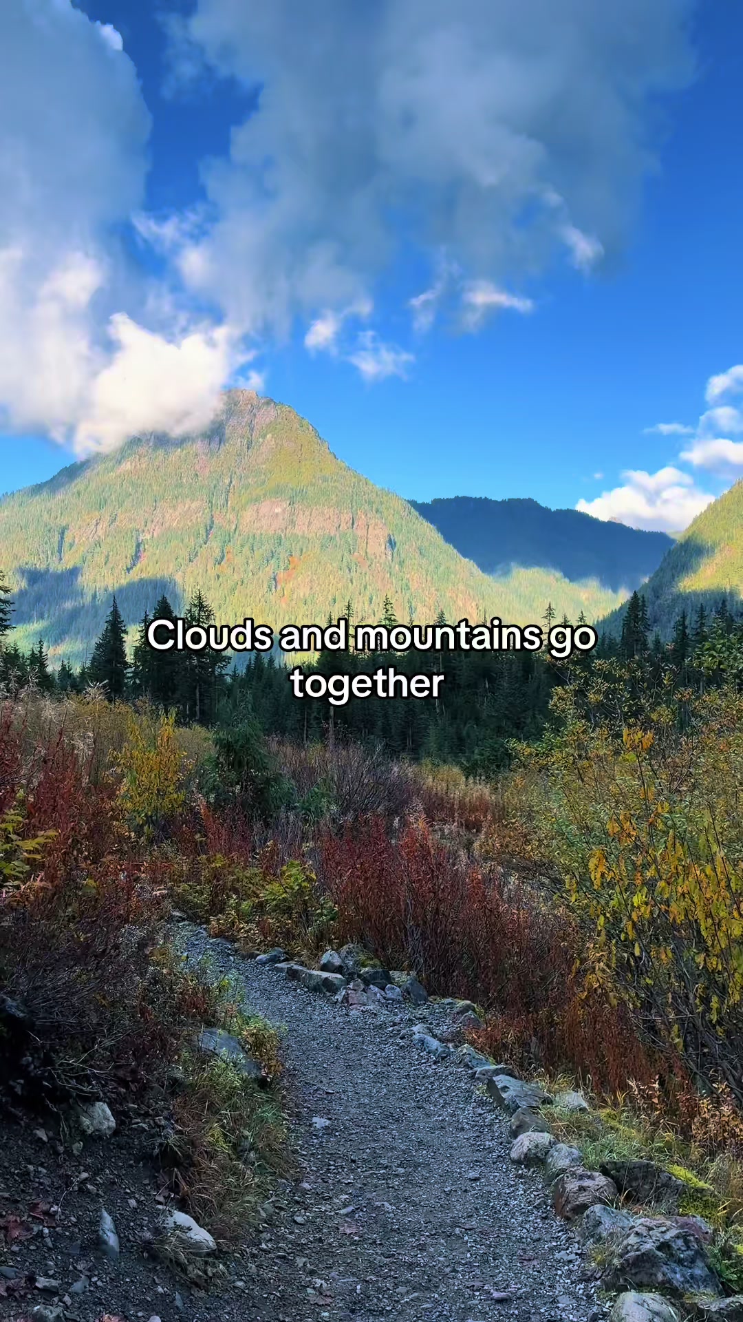 @🌲 James | WA 🏔️