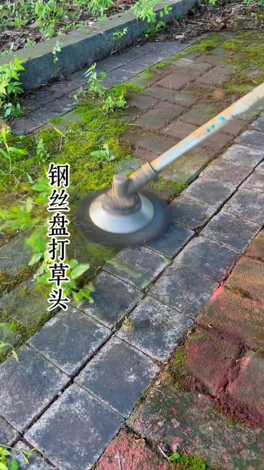 @Phương Thu&yacute;