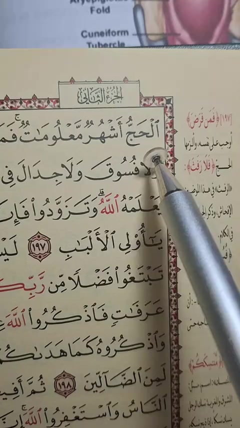 @Abdelrahman Rady official