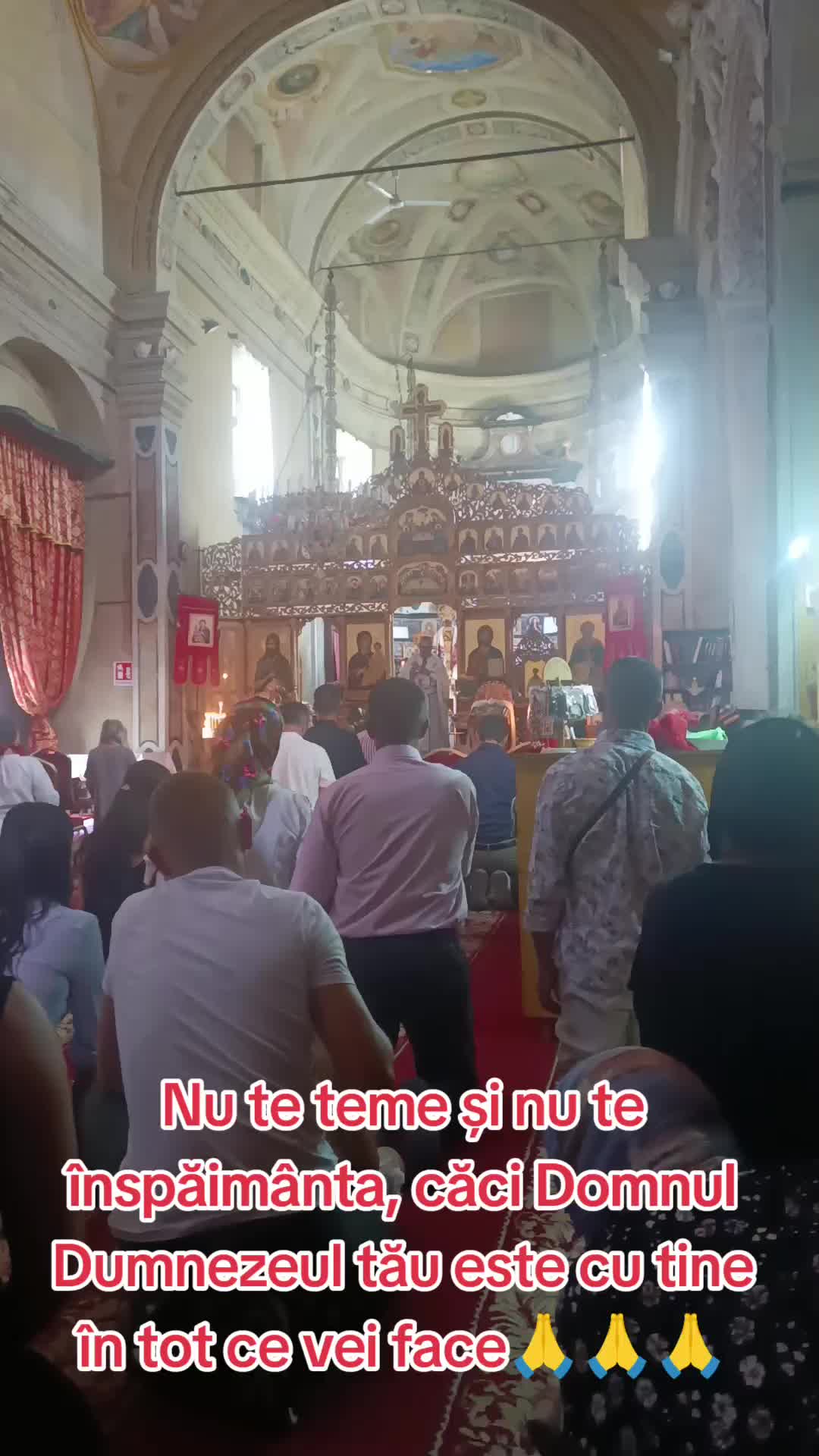 @Ala Bucur