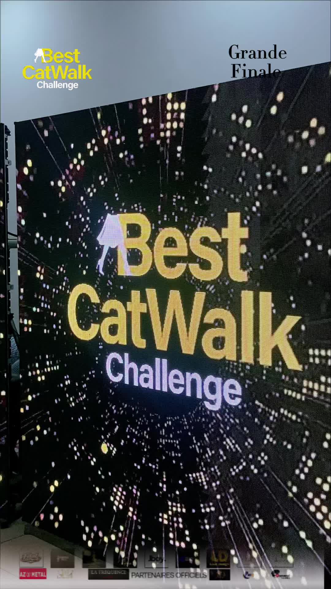 @Comité Best Catwalk challenge