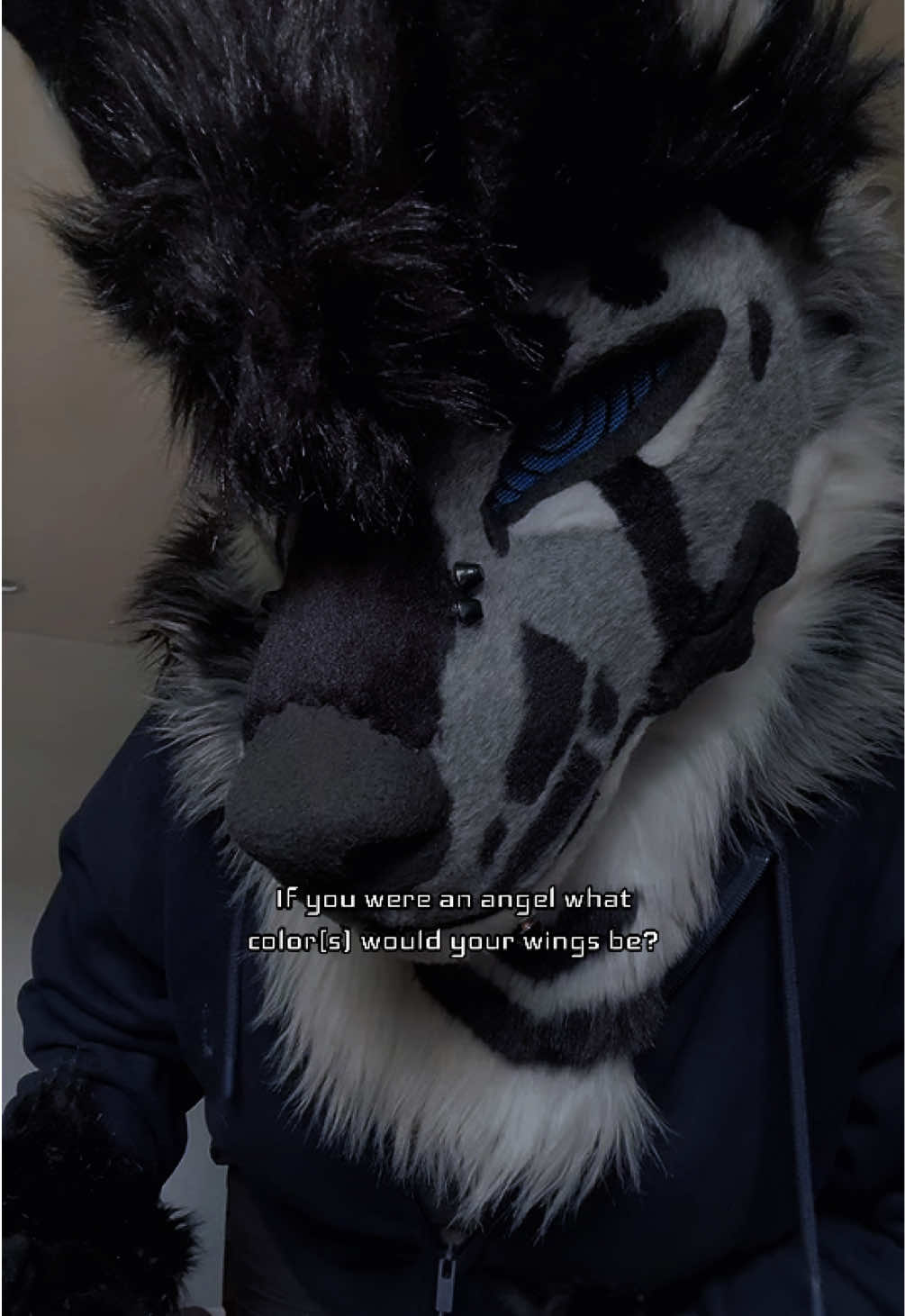 @sonar_hyena_shark