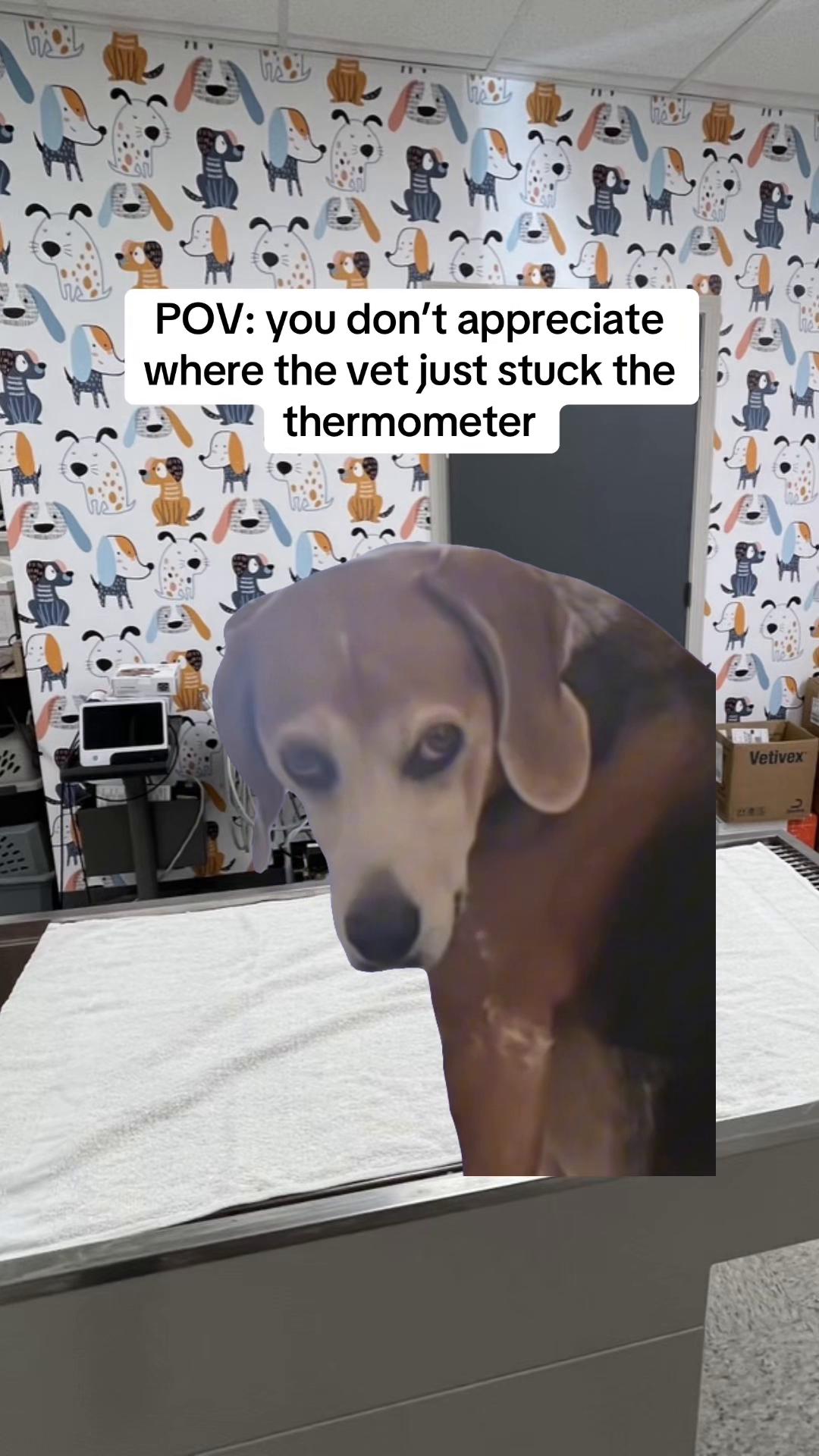 @Snodgrass Vet
