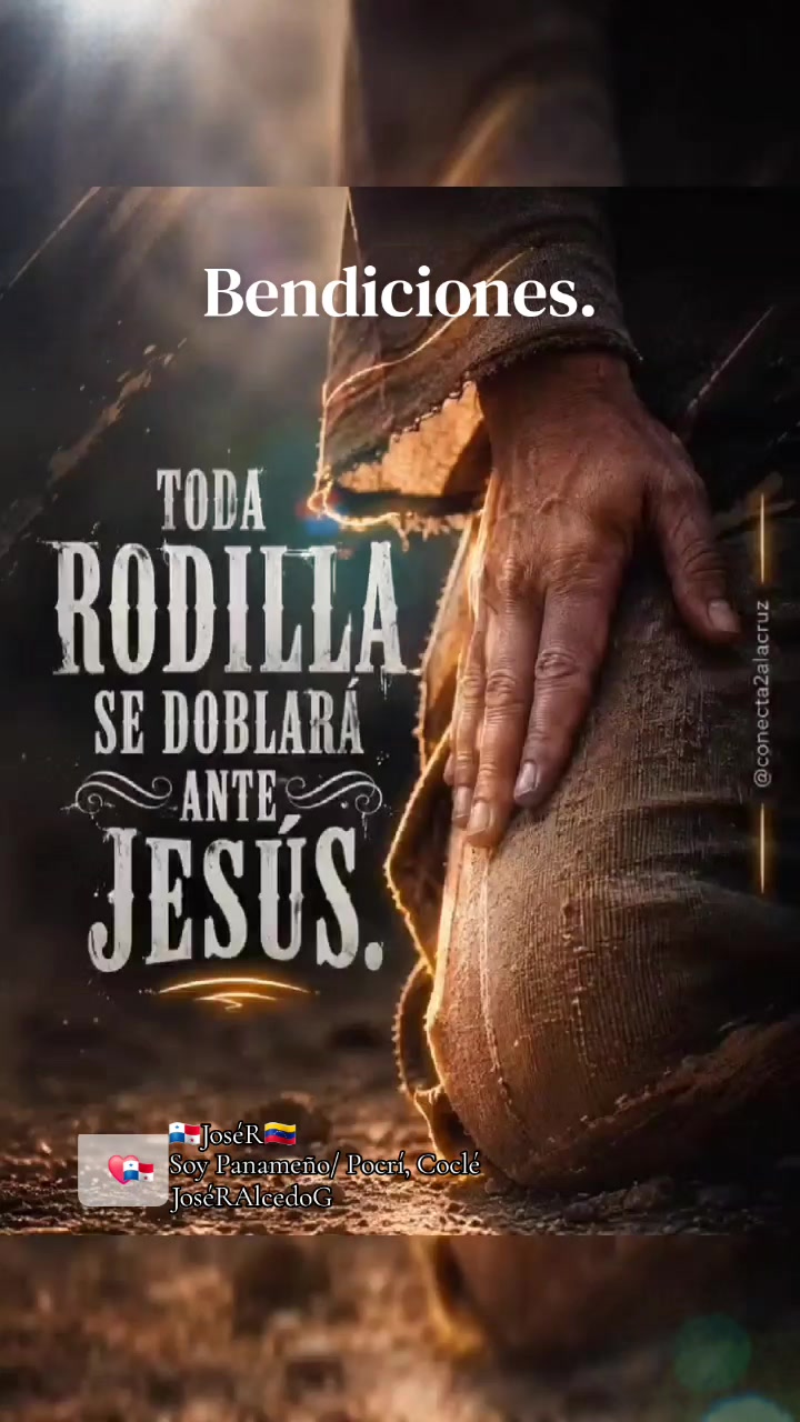 @JoséRAlcedoG
