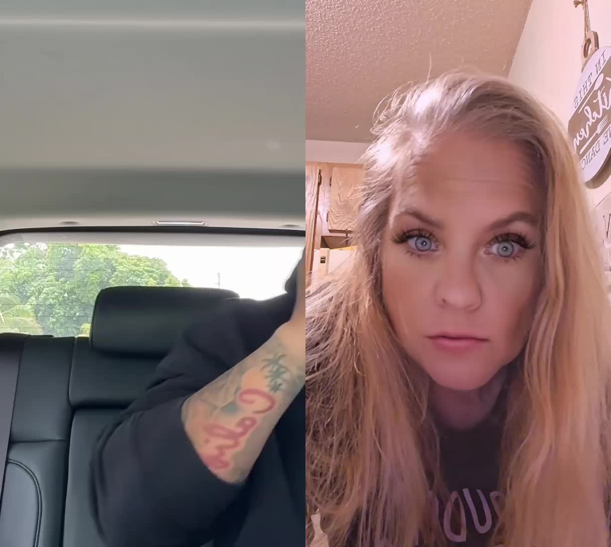 @lilturtle719🐢