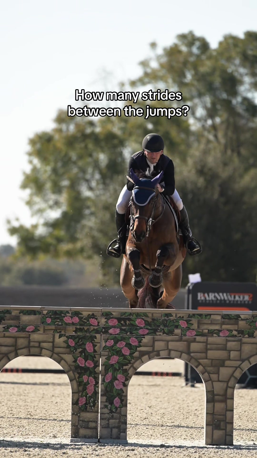 @Free Ride Equestrian