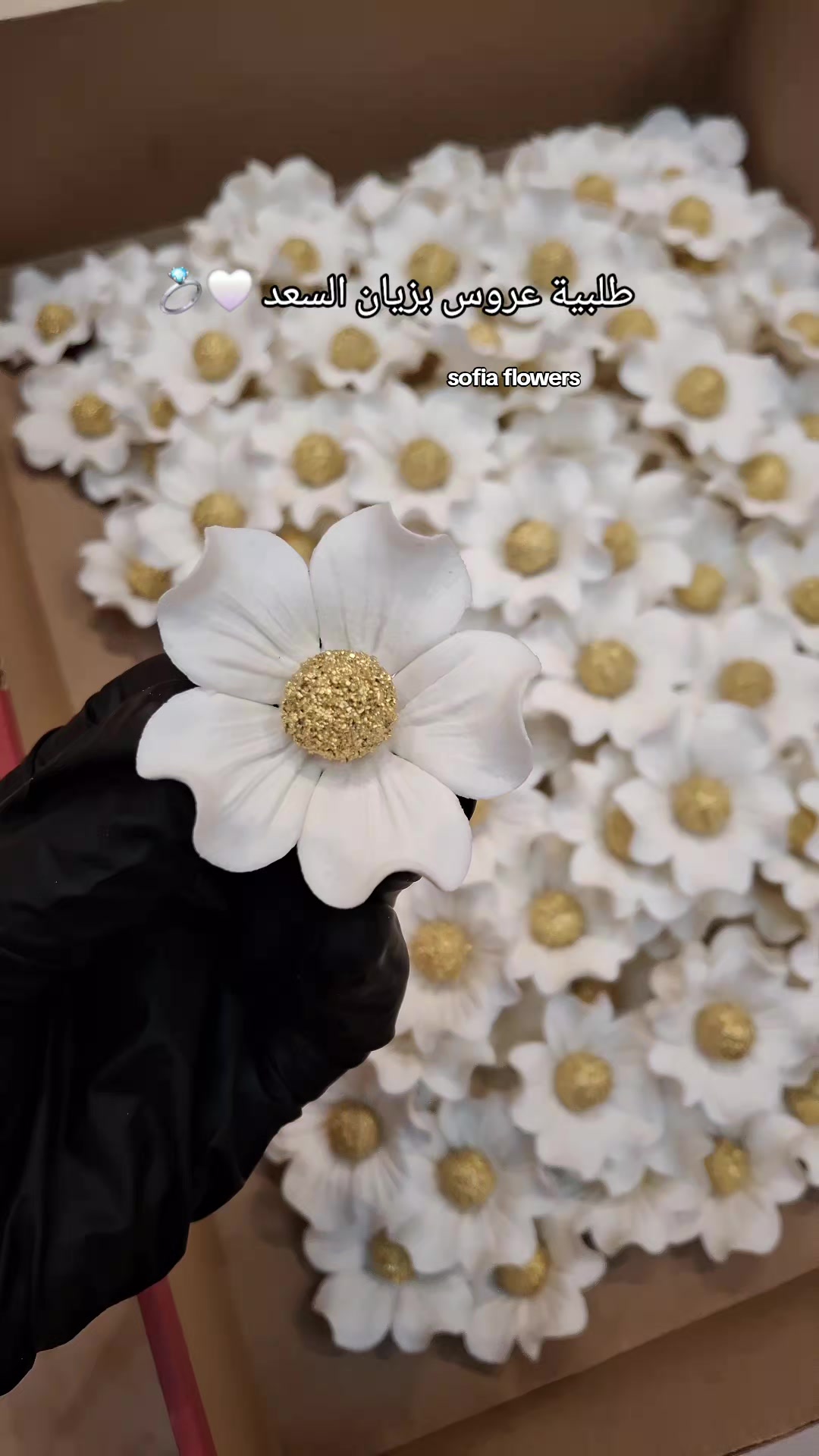 @✨️Sofia flowers✨️