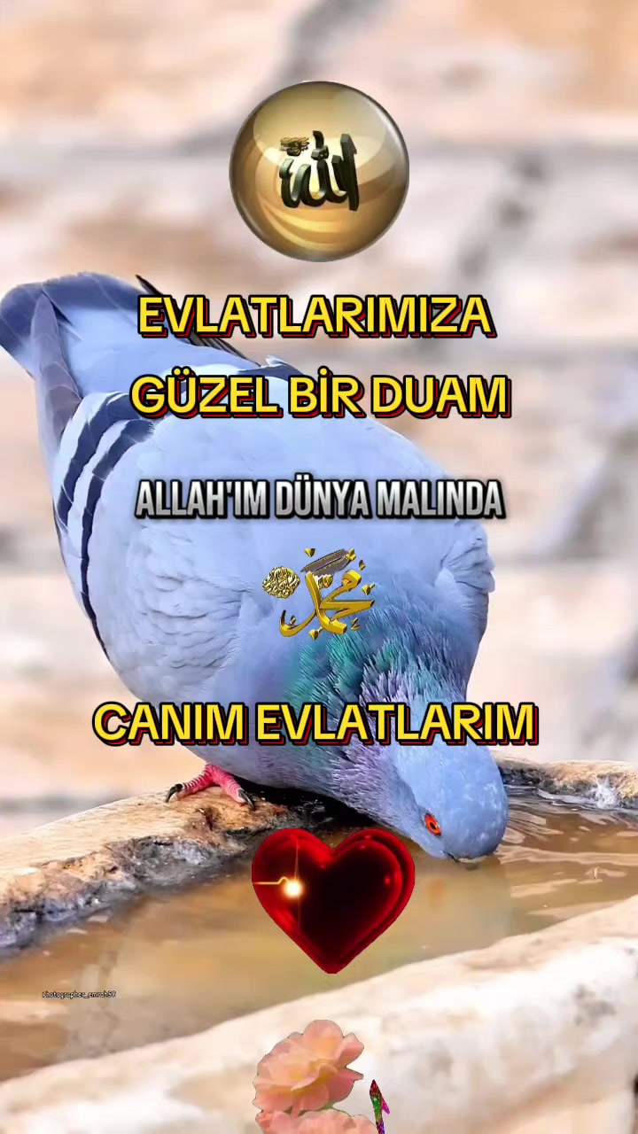 @NAKŞİ💚🕊💚AİLESİ🌹EMİNE🌹