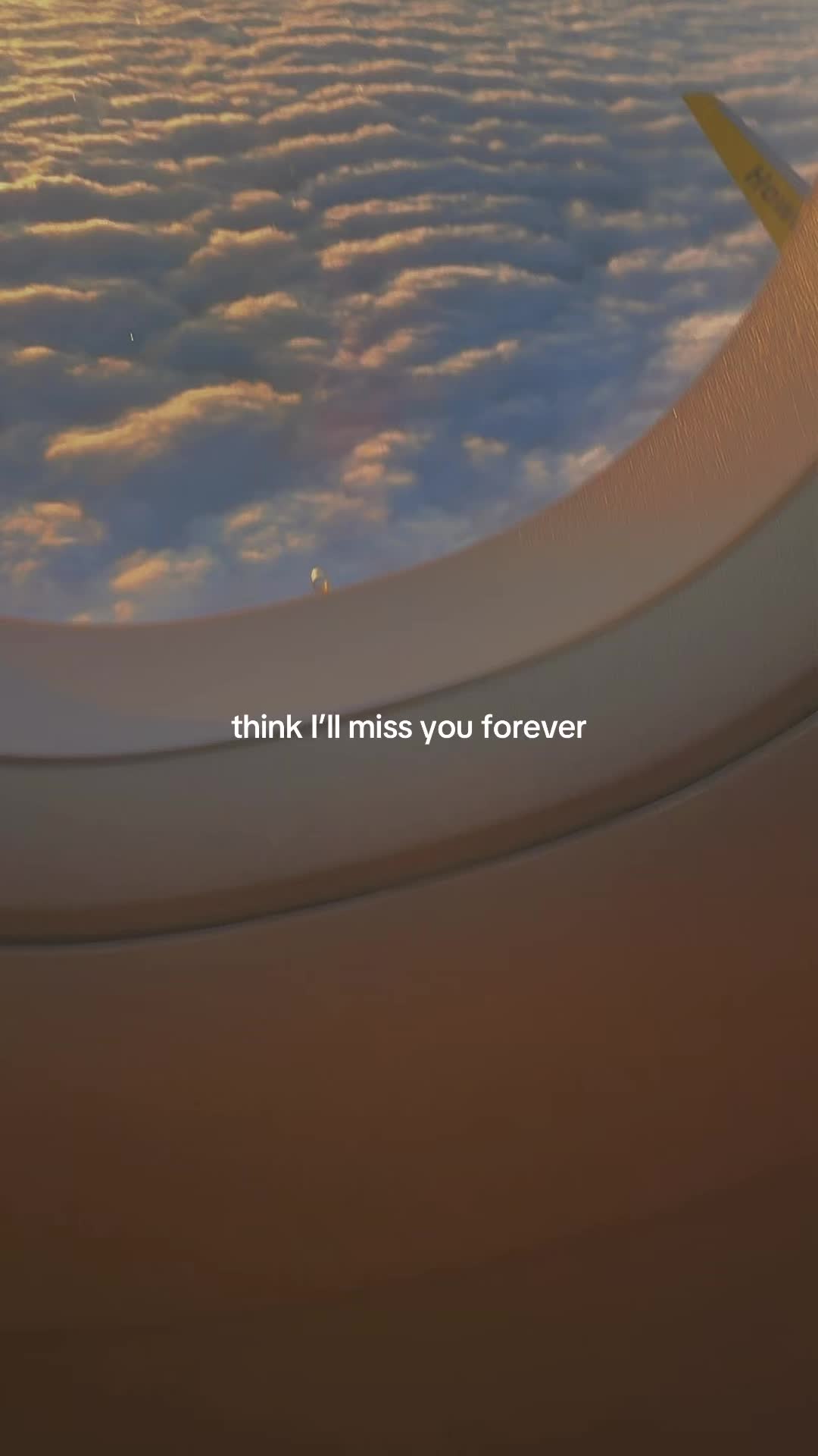 @neeks