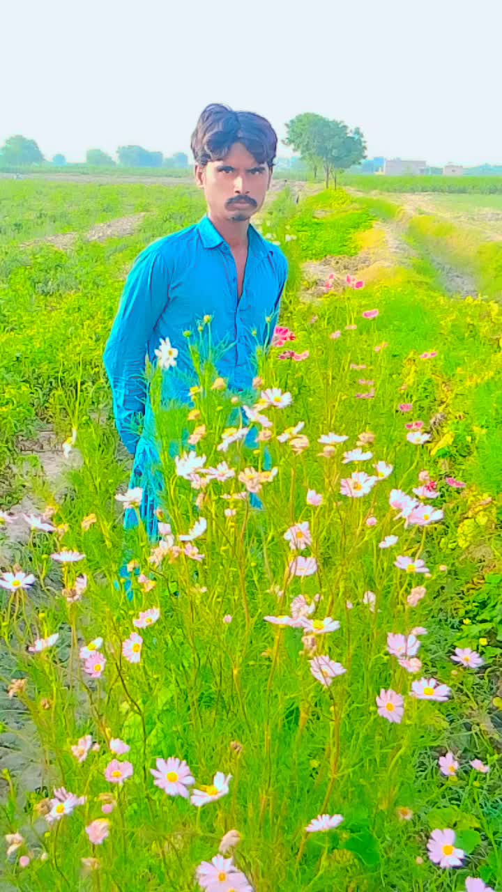 @Jahmoo Bheel