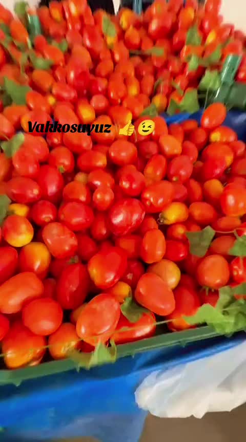 @Ali Çipilli