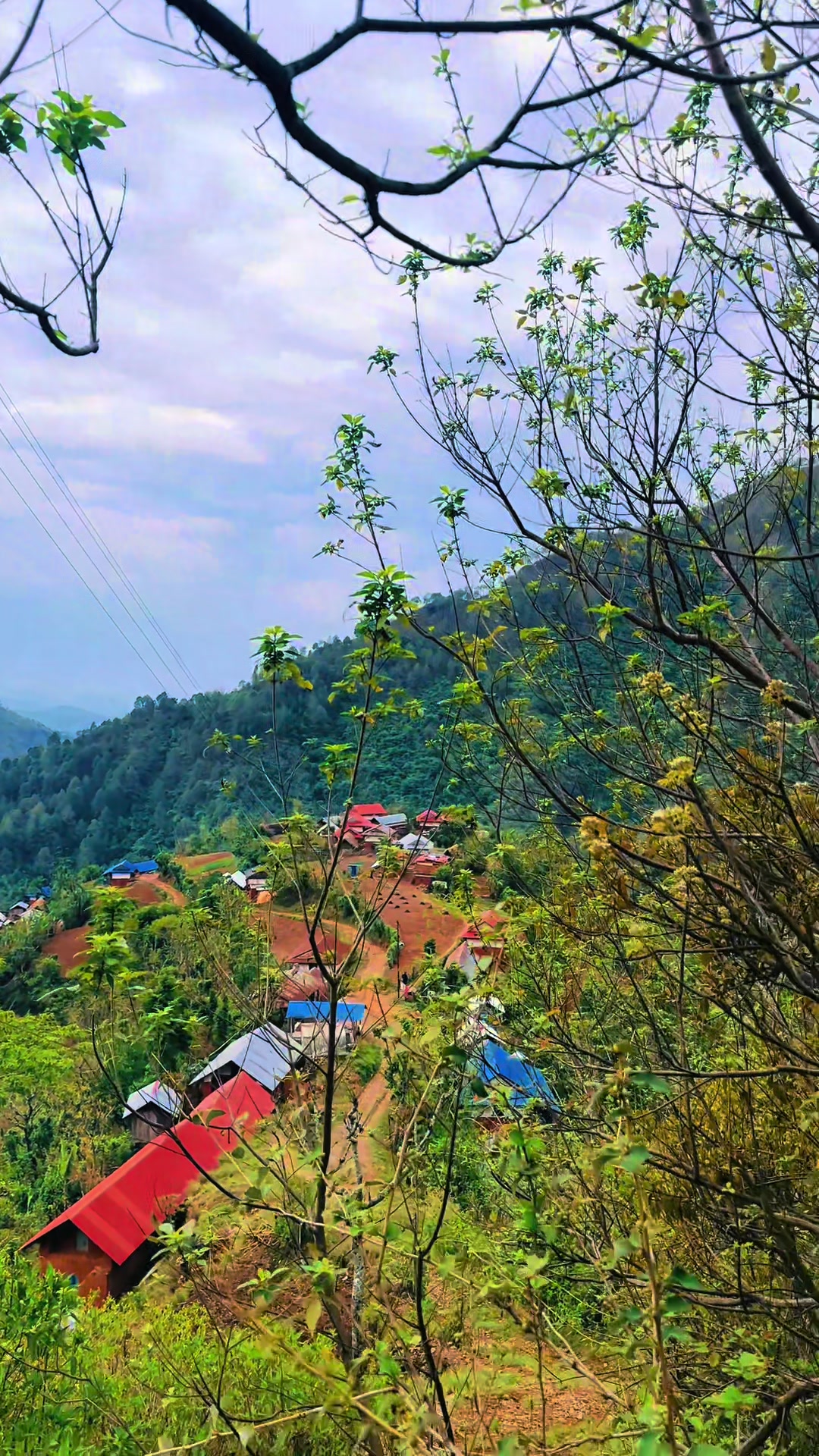 @Shyam Thapa MagarЁЯЗ│ЁЯЗ╡
