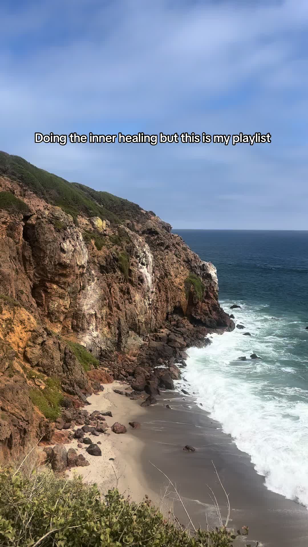 @Ashley Rabbit