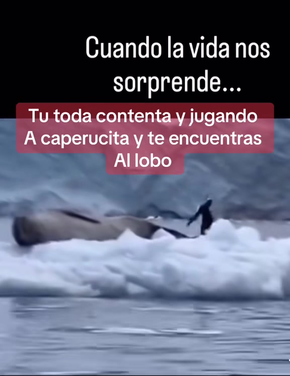 @Rodriguez