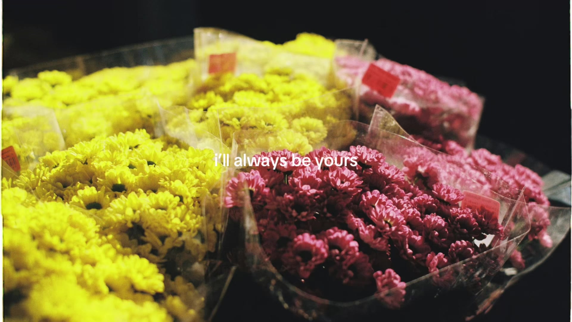 @theyearning.archive