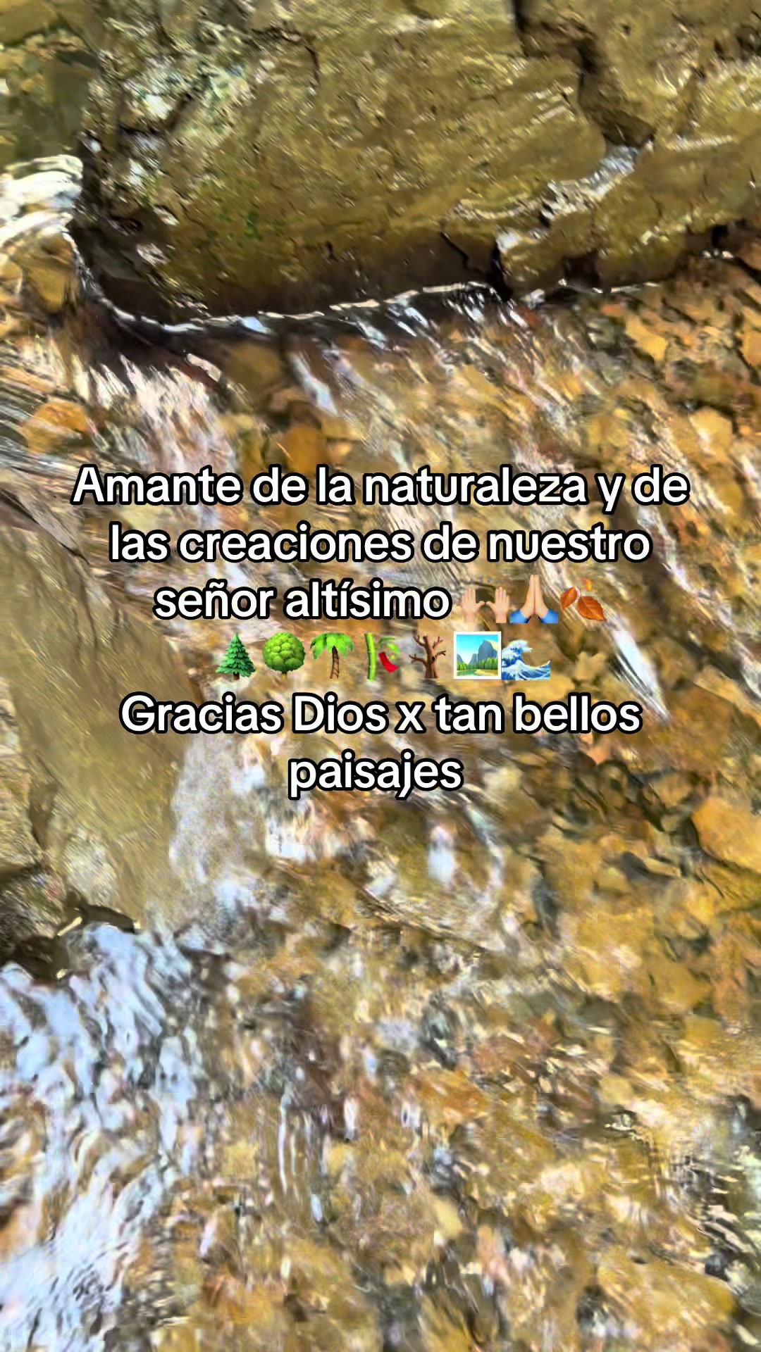 @🌺juanys🌺🍁