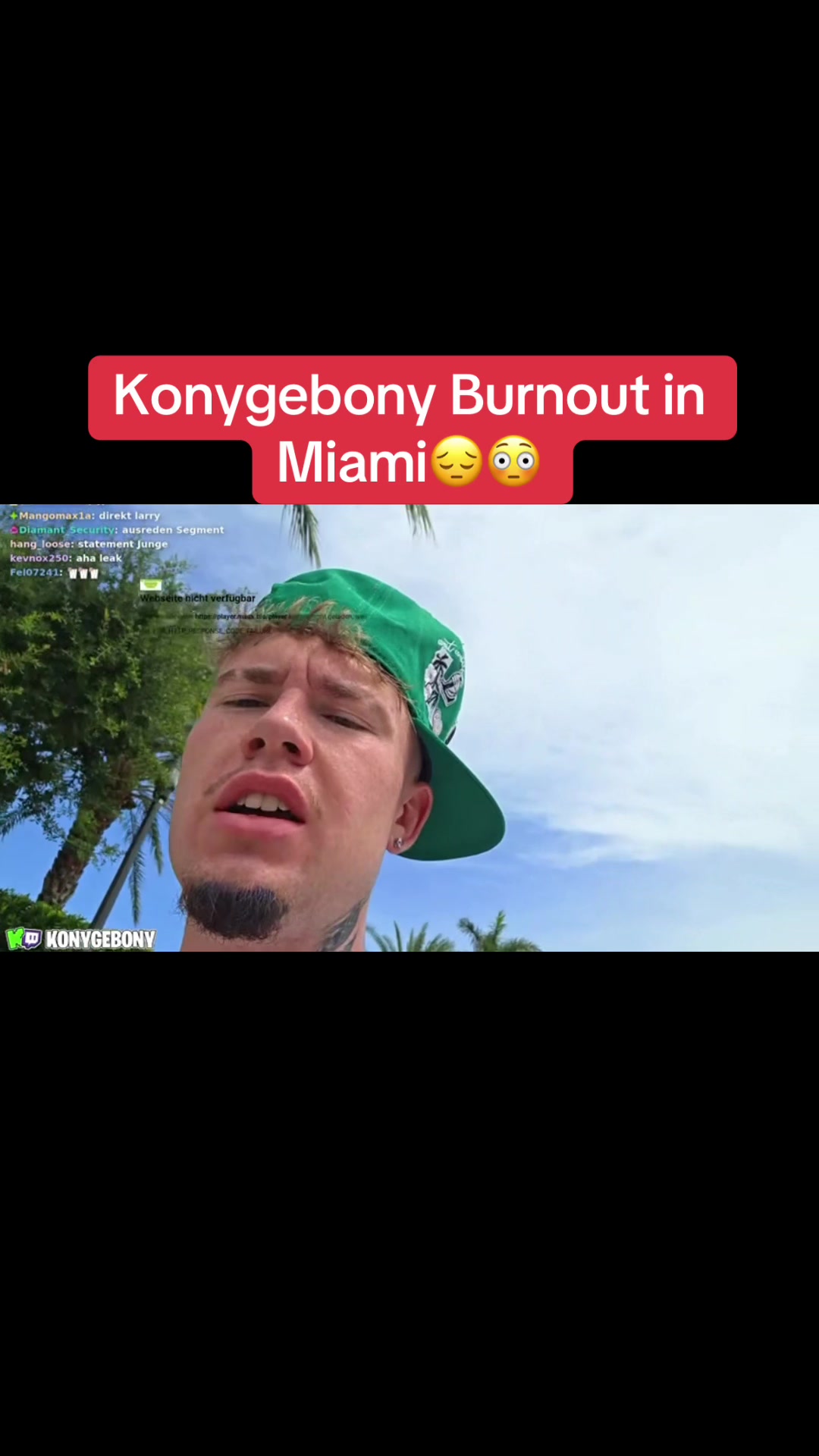 @🦈