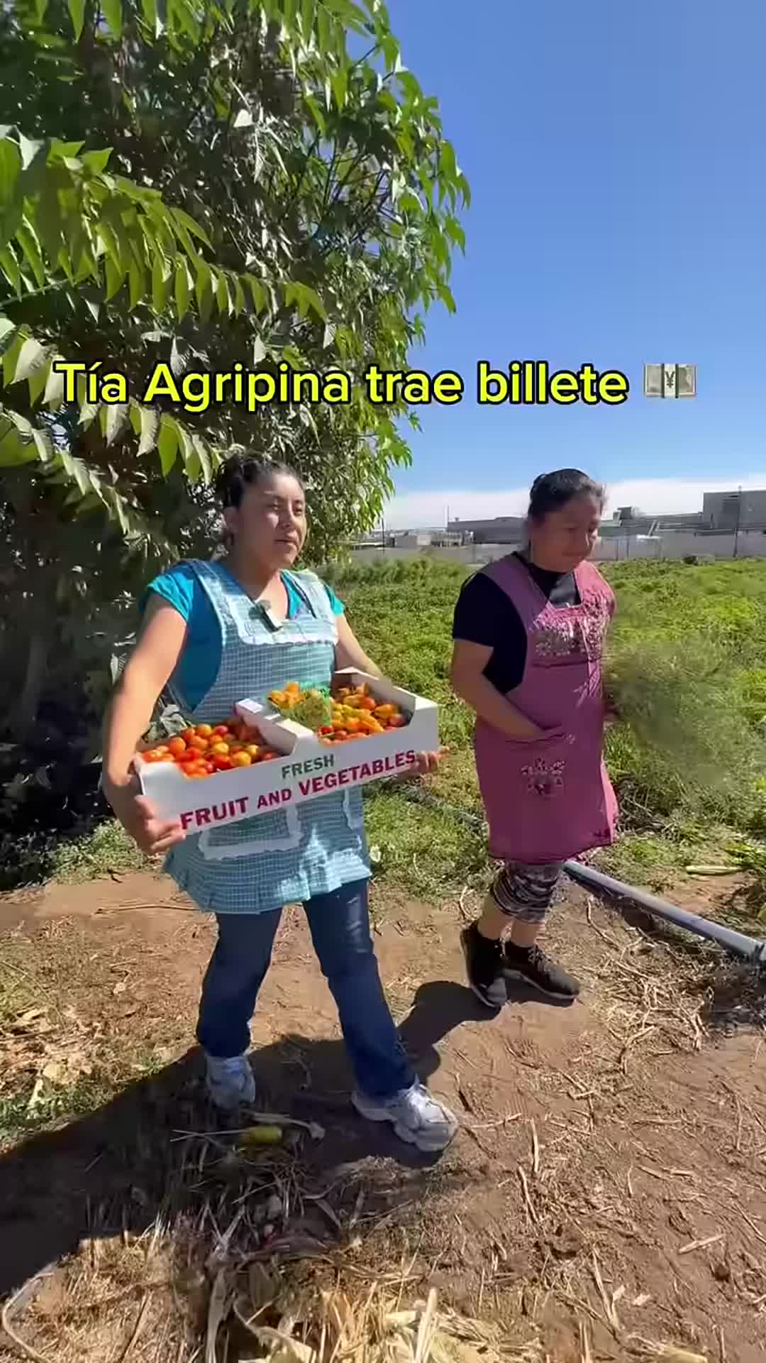 @tiktohnesyv