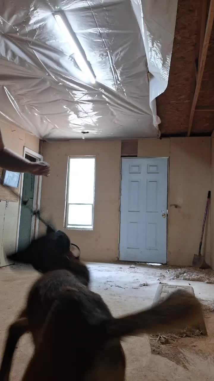 @Natalie Thatmalinoislady