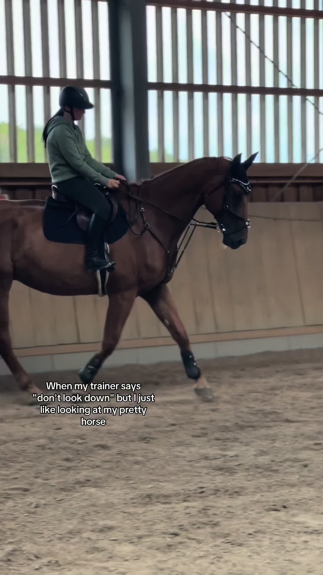 @annalisa.equestrian
