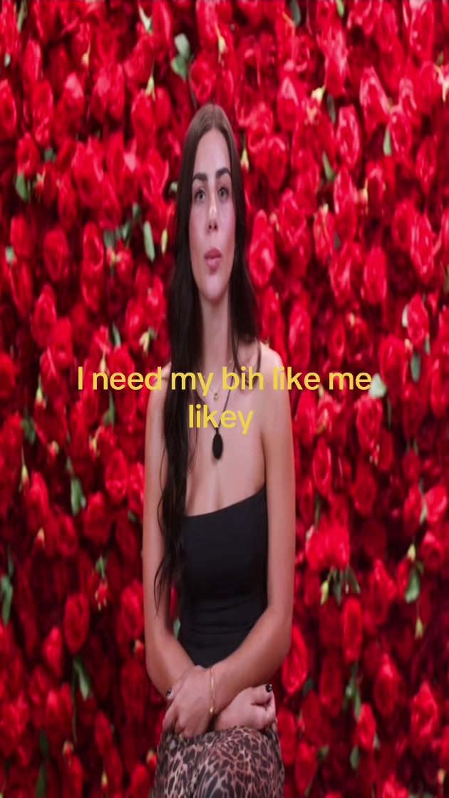 @🪪