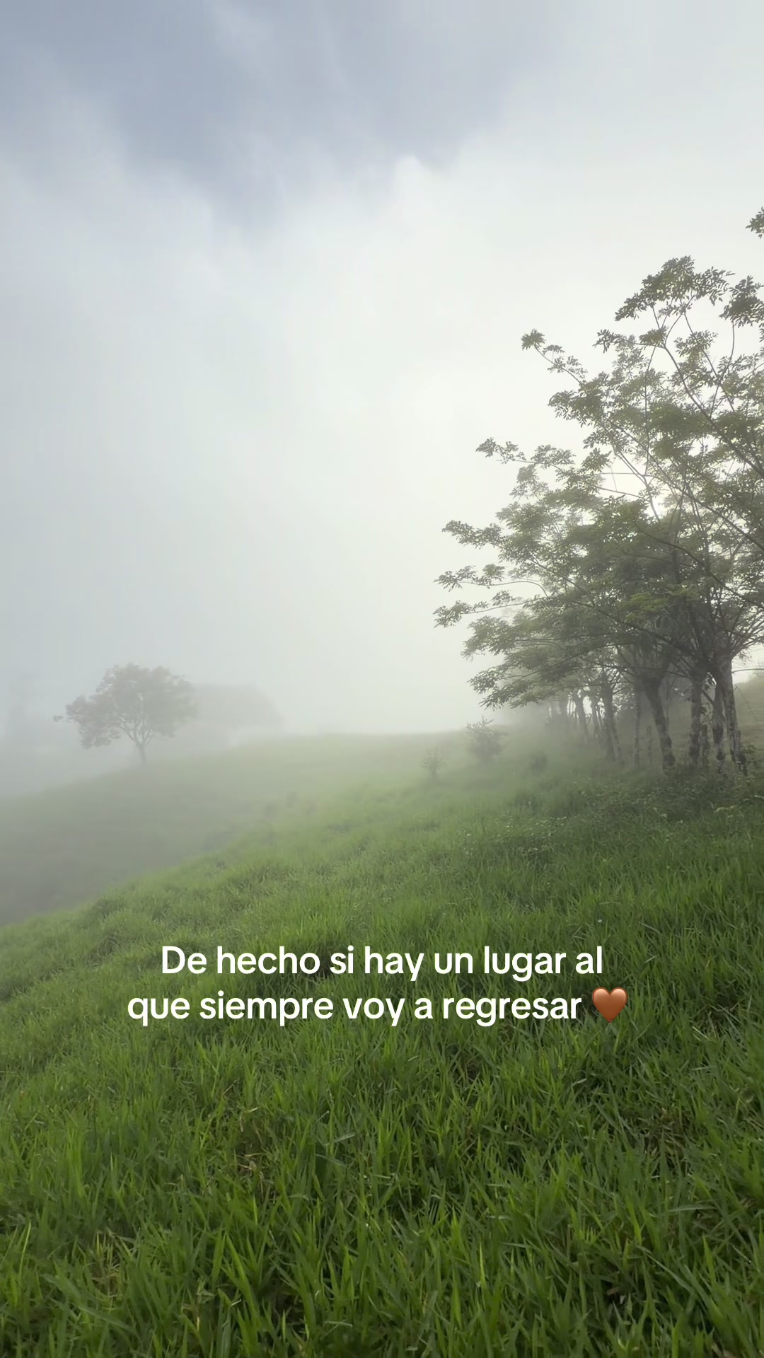 @Jimena RC