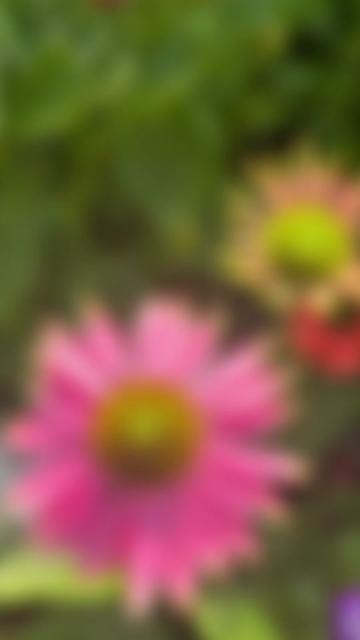@Jimangi67