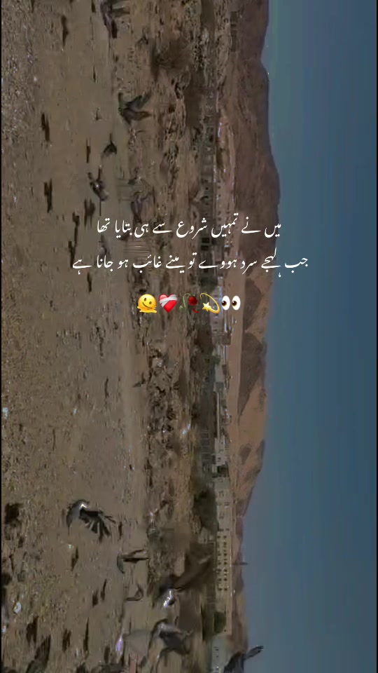 @🕊️♥️🥀