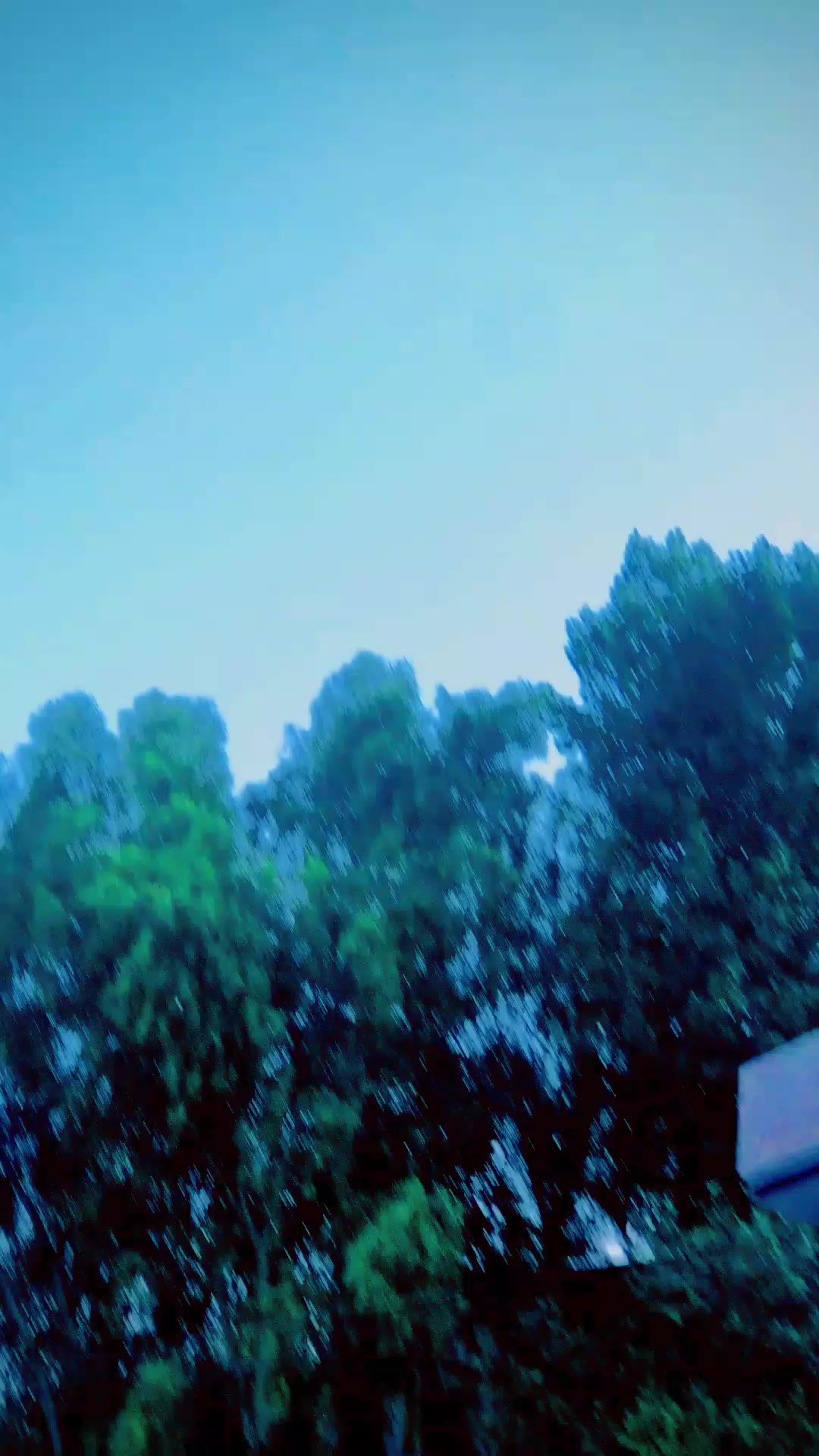 @✩彡 𝗨𝗠𝗔𝗥𝗢𝗢彡✩